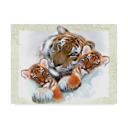 Howard Robinson 'Three Tigers' Canvas Art,18x24